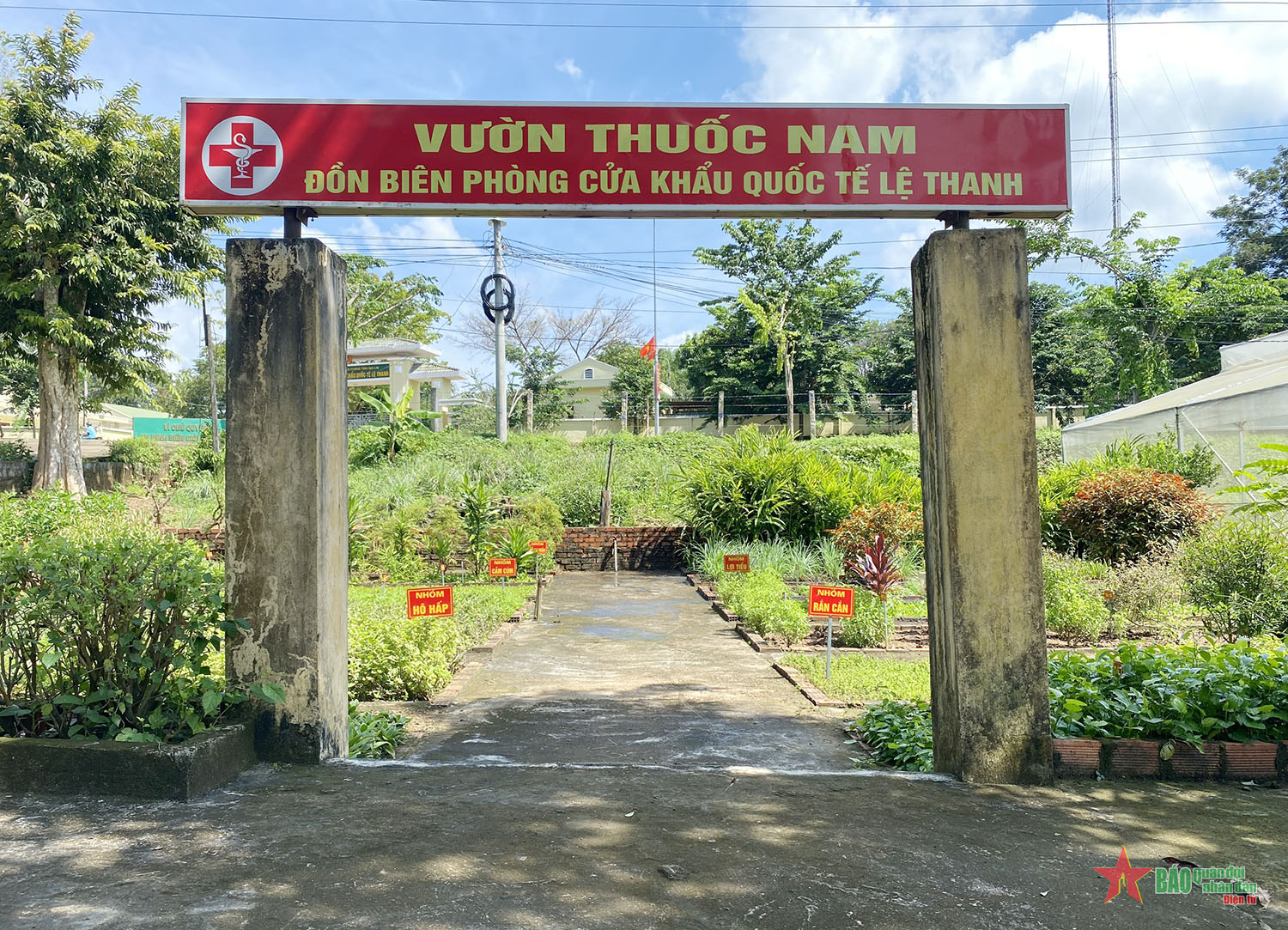 Vườn thuốc nam kiểu mẫu ở Đồn Biên phòng Cửa khẩu Quốc tế Lệ Thanh